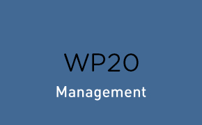Working Package 20: Project management